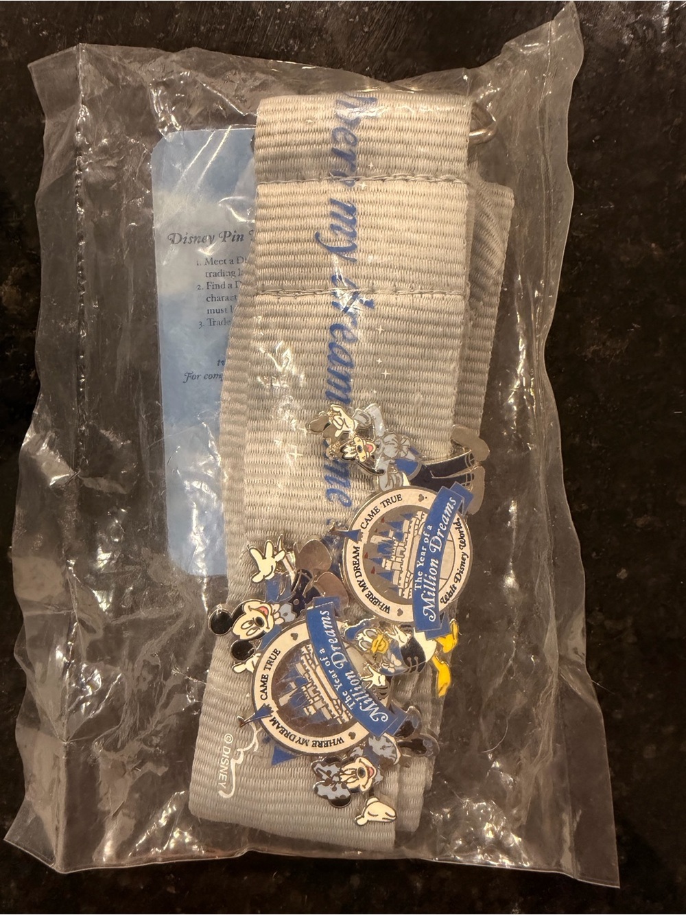 Disney Year of a Million Dreams Lanyard 2-Pin Set